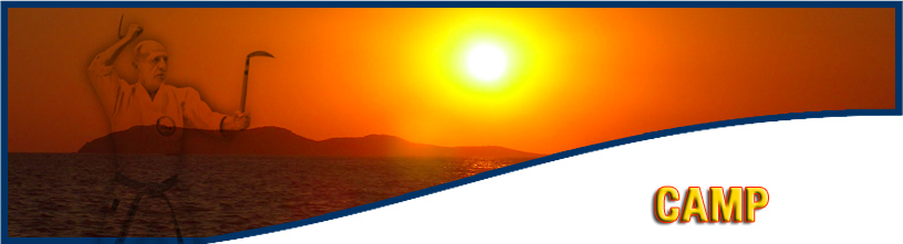 site banner